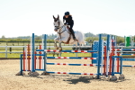 SBM_001642