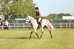 SBM_10654