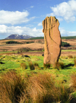 Machrie Moore standing stone (P32)