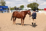 SBM_04591