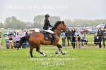 BPP_7273