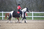 SBM_003781
