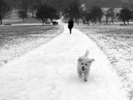 Primrose Hill - Winter Snow_8_London_photography