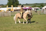 SBM_10194