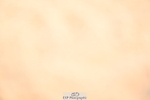 240323A-101844-01329