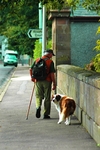 Bob and Brodie on Rosehill Road