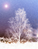 Winters Magic