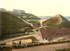 Saltburn Cat Nab 2