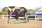 SBM_01723