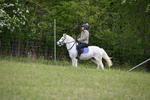 WJ6_1419