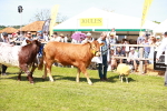 SBM_08326