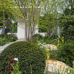RHS Chelsea Flower Show 2023
