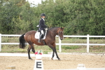 SBM_003793