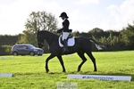 357-Eleanor.Newcombe-MR.DARCY portfolio