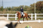 SBM_001816