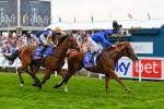 170623-Race 2-Wild Lion-0368