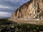 Flamborough Head