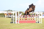 Class C: Showjumping Senior Foxhunter portfolio