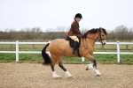 SBM_007528
