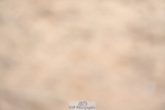 230813-134228-07631