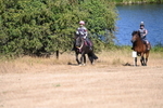 WJ6_7877