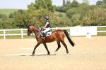 SBM_008638