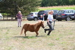 WJ6_6952