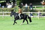 SBM_47049