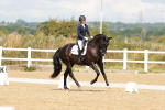 SBM_000850
