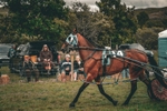 DSCF7373