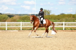 SBM_000337