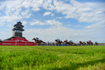 270526-Race 7-King Of The Jungle-3280