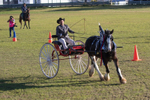 Harness Driving Challenge 5. 0A3A9642