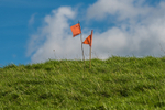 Loweswater Show-51