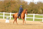 SBM_001837