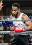 DINNER BOXING_22-03-2019 portfolio