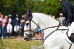 261-COOLEY_NOW_OR_NEVER-Georgina_Herrling-SJ portfolio