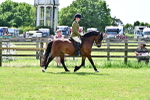 SBM_07875