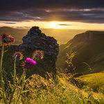 Thistle Sunrise on Winnats Pass, Peak District