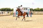 SBM_003828