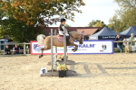 SBM_53589