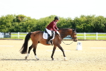 Class 16 - Novice 5 portfolio