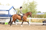 SBM_00703
