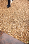 SBM_010696