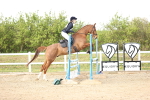 SBM_004038