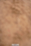 240506A-084158-07783