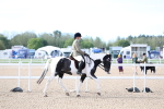 SBM_16725