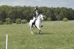 BVHT 140517  NXC -263