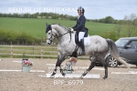 BPP_6979