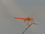 P1045848